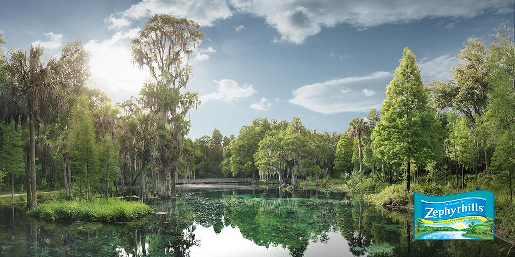 Image of Crystal Springs Preserve, where Zephyrhills water can be found