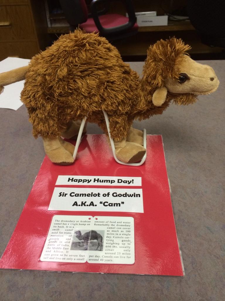 GodwinLibrary's tweet image. It&apos;s Wednesday, so that means Cam is out!