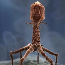 MCPL_Libraries's tweet photo. Learn about the amazing field of #medicalillustration http://t.co/i78N8l3Up1 (with incredible images by Mike Smith) http://t.co/1BZuCDuQLX