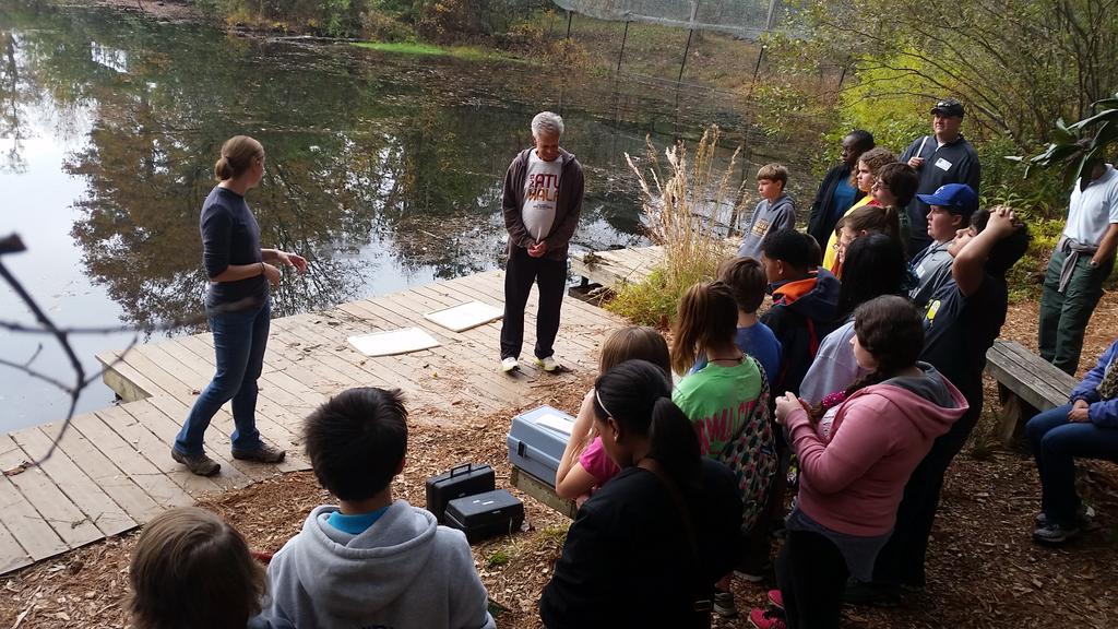 MrsPerryAMMS's tweet photo. HBMS learning and exploring thanks to @ChattNature! #HBMSHawks #hbmsSTEM http://t.co/1NCgqfLbsW