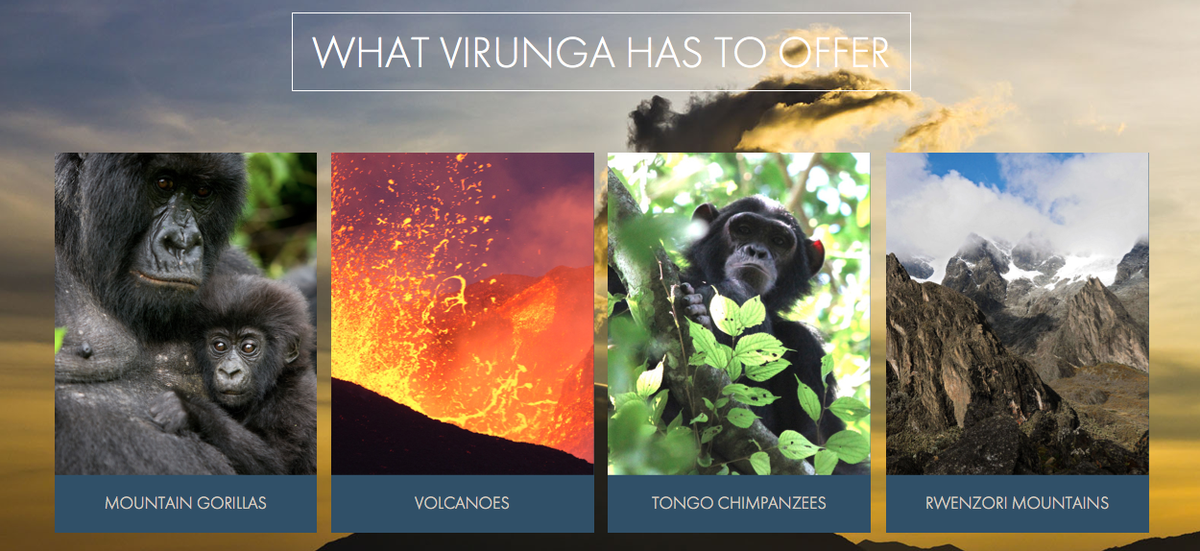 gorillacd's tweet photo. Interested in embarking on your own #Virunga adventure? Explore what the park has to offer at http://t.co/aQTfZXo45W http://t.co/Fh3ehYQfar