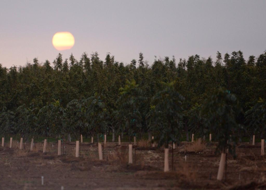 billhusa1's tweet photo. The #farmcity Bus Tour begins at #universityfarm in Chico Wed. morning. http://t.co/M859D93XZc