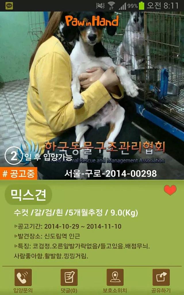 Magos_Flores's tweet image. @ksh7559 리트윗 부탁 드려요. 안락사 위기 10개월 비글 믹스, 임보처, 입양자 찾습니다. : 네이버 블로그 - m.blog.naver.com/rumini/2201796… 블로그 참조해 주세요.