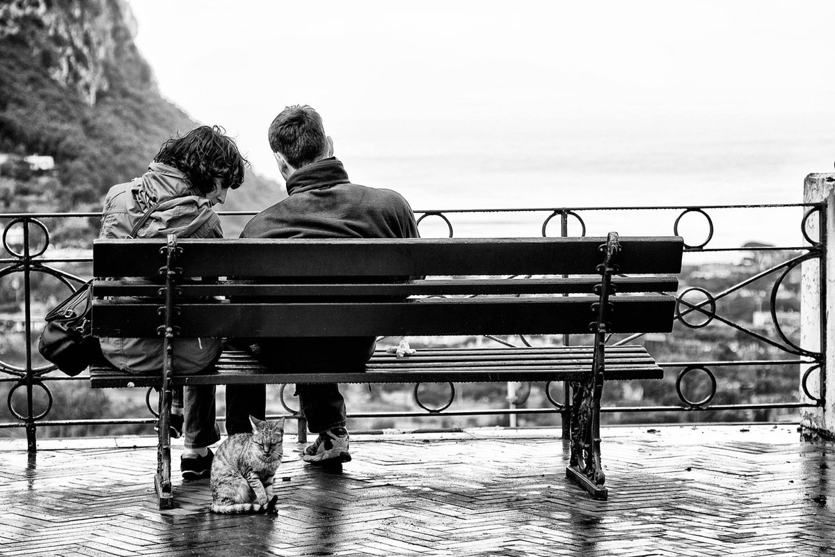 Capri.it tweet media