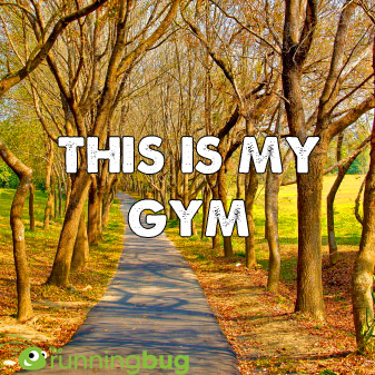 Trailsplorer tweet media