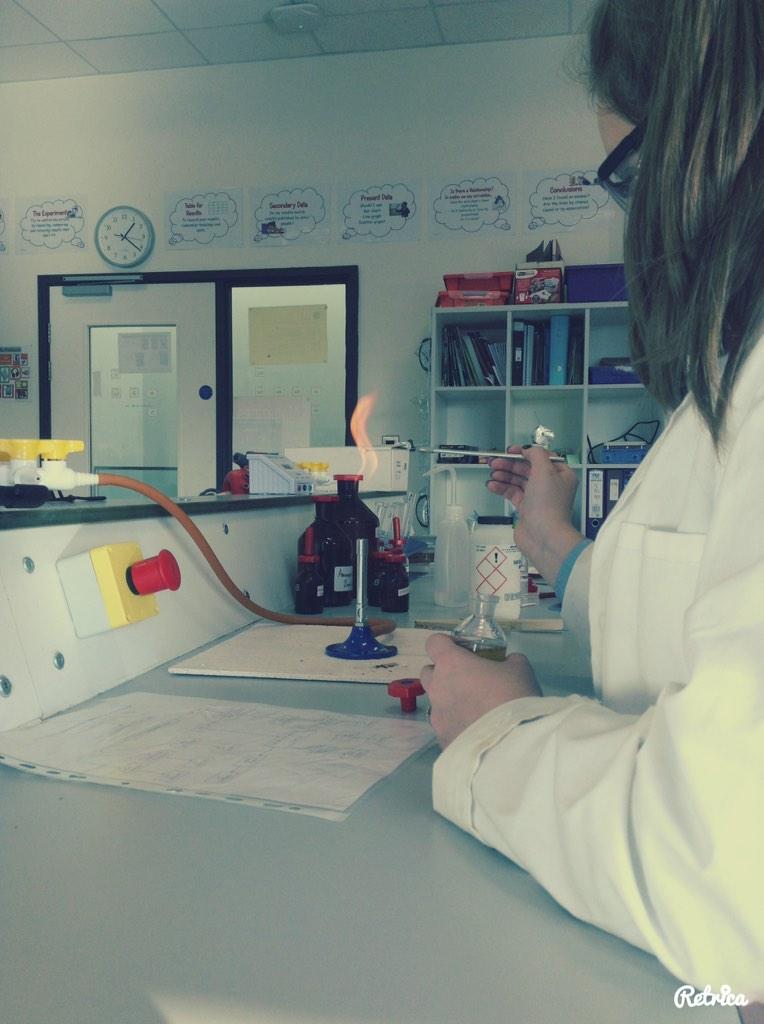 nicoledavinci's tweet photo. Work experience @RoseatDaVinci13 http://t.co/egWnrR3Ude
