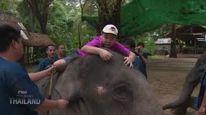 AutismSpeaksSNJ's tweet photo. #VIDEO: Elephant Therapy Provides Comfort to Thai People With #Autism http://t.co/bzYYyPgqF6 @autismspeaks http://t.co/CNljcdFGWq