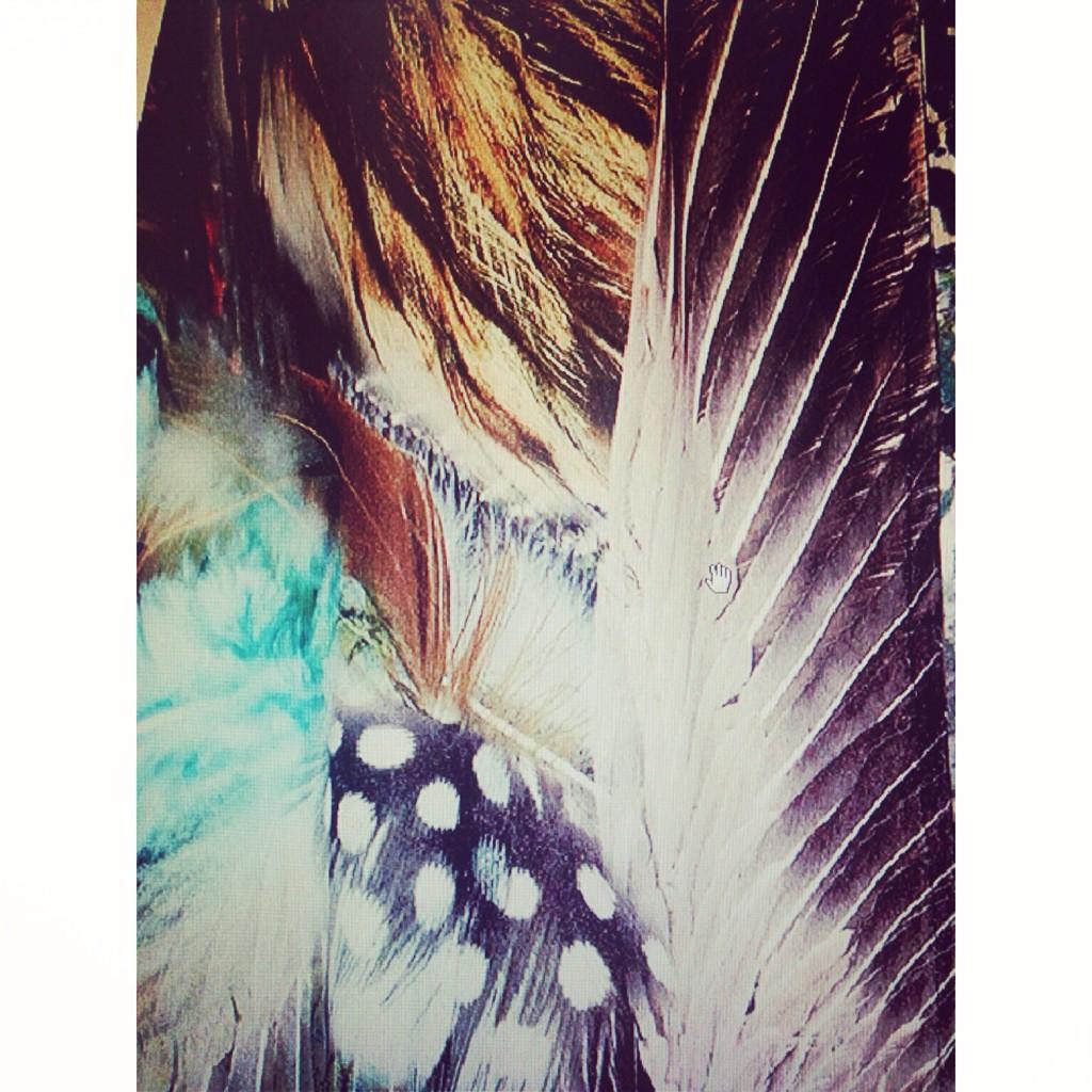 Masquerade_NC's tweet photo. Os desvelamos 1dlos estampados q utilizaremos para nuestra nueva colección #SS15 @Masquerade_NC speramos q os guste! http://t.co/V6RCUzhc4d