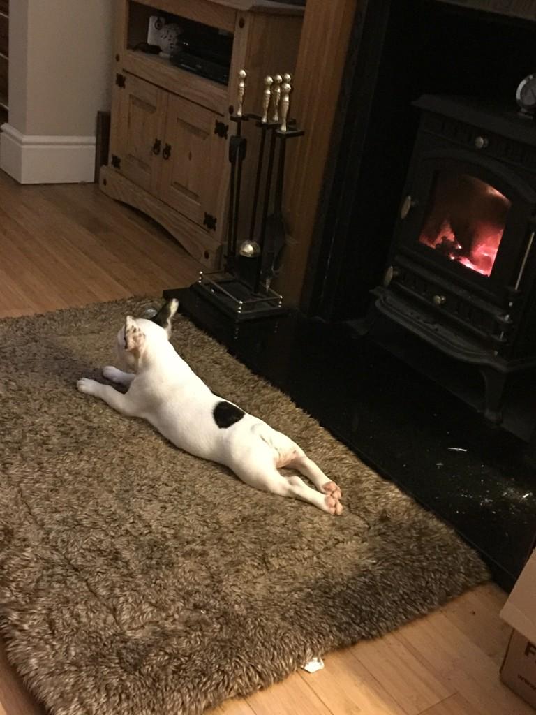 Scampton2014's tweet photo. We're loving the fire.  #cosy http://t.co/5YsTSeA7W8