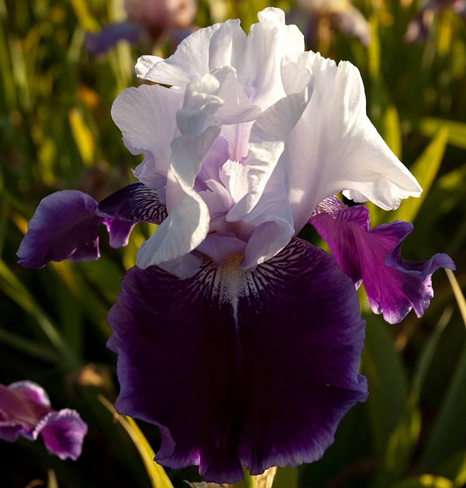 Btriym's tweet photo. http://t.co/pl3MeMRfxx
