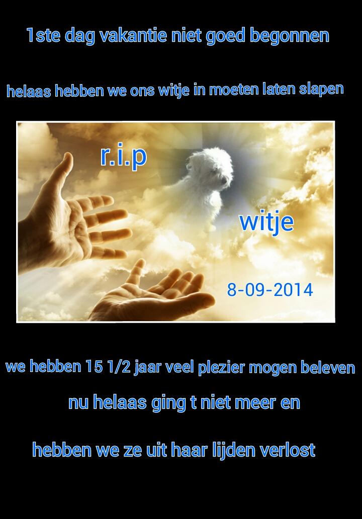 🔴💊 tweet media