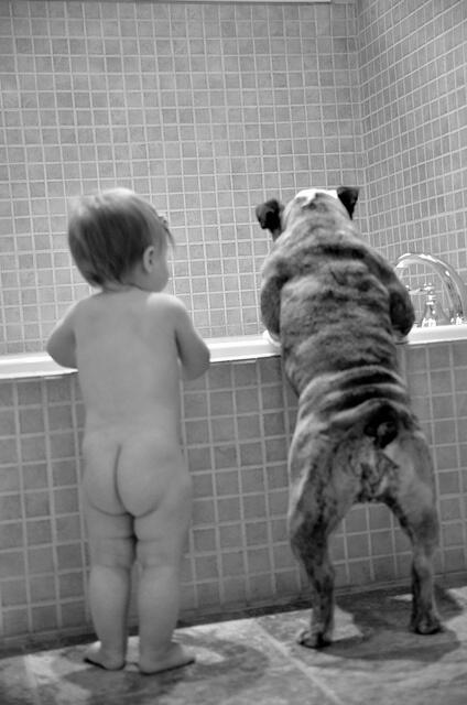 _Paisajes_'s tweet photo. Bebé y Perrito. http://t.co/5MMBCIC2Yi