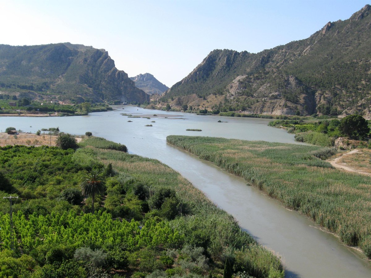 Ruta de los cítricos en Blanca este domingo 16 de noviembre.
Info y reser: info@valledericote.net649928851