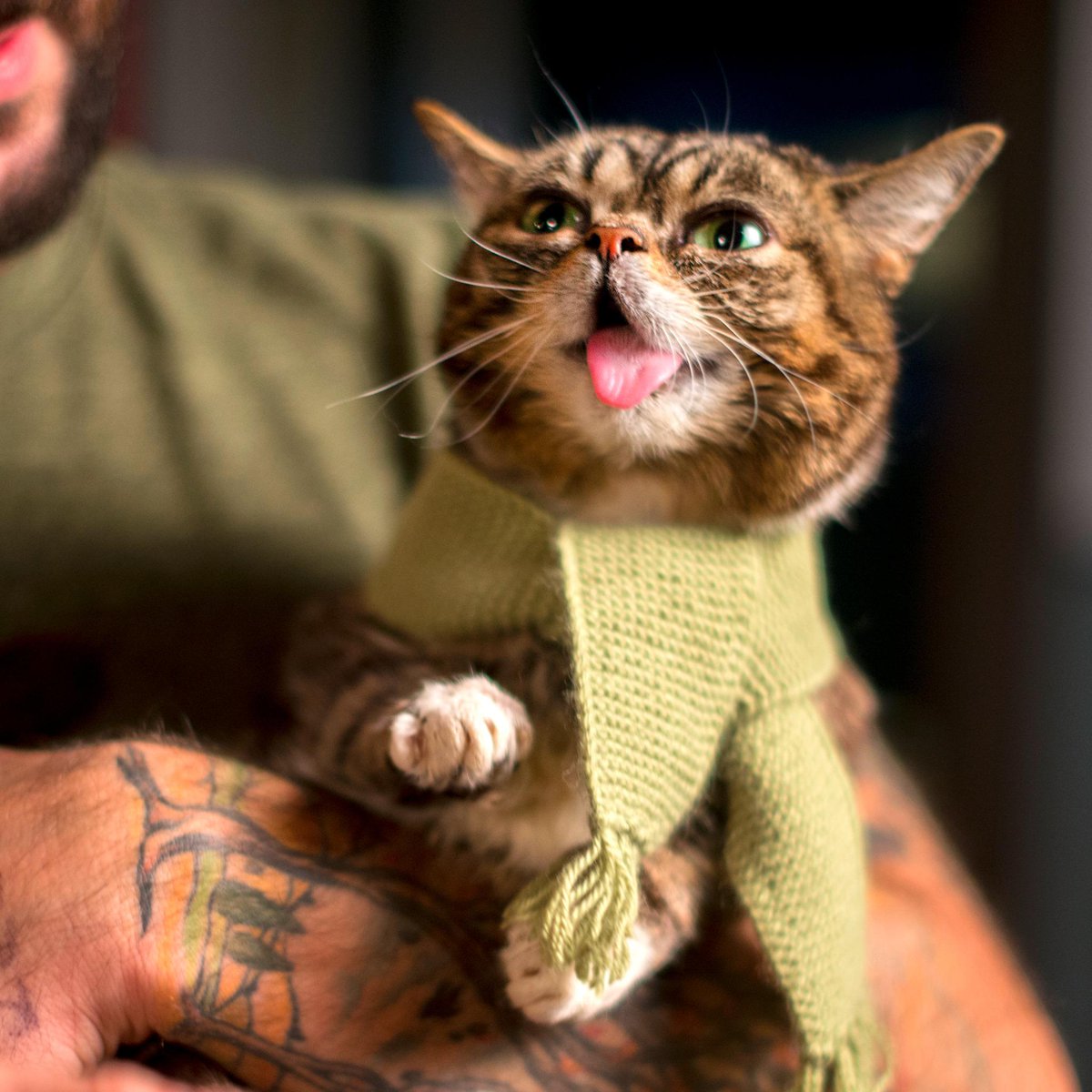 IAMLILBUB's tweet photo. BUB's ready for scarf season. http://t.co/jE0j2HEvcn