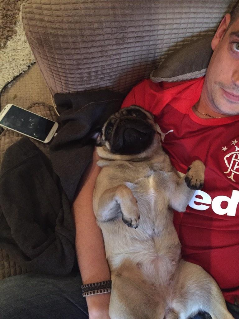 CarenRossall's tweet photo. Ahh baby honey! 💗🐶 @RoryStewart82 xx http://t.co/OdoZA7vv0c