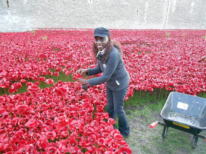 saracruz_ko's tweet photo. #Poppiesatthetower #deinstalling today #emotional #poignant #eachpoppy #alife #volunteer #ww1centenary http://t.co/8HD4o1XpDS