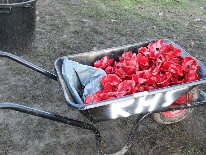 saracruz_ko's tweet photo. #Poppiesatthetower #deinstalling today #emotional #poignant #eachpoppy #alife #volunteer #ww1centenary http://t.co/8HD4o1XpDS