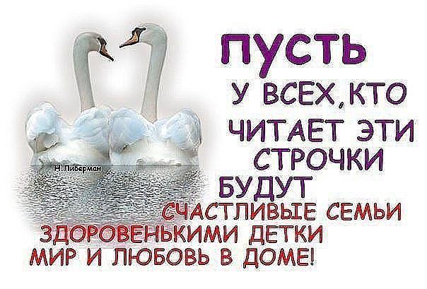 Лена Ленина (@nashdomopi2) on Twitter photo 