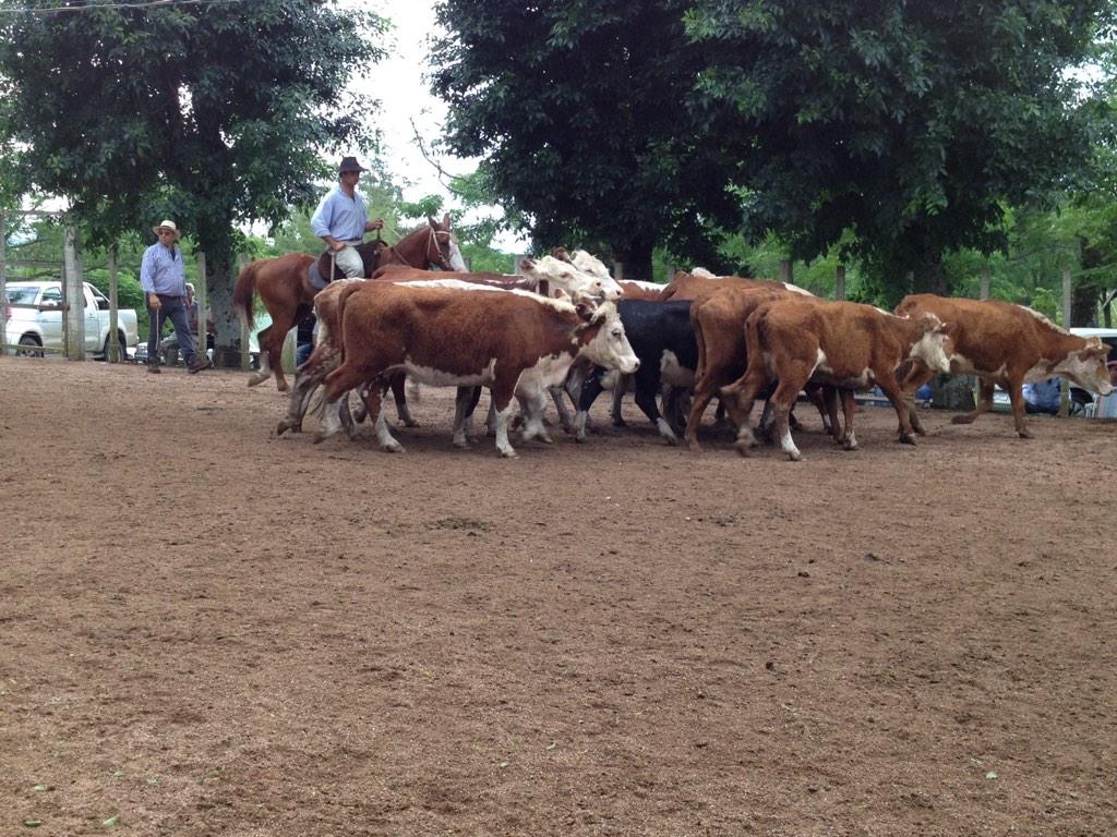 Enlace permanente de imagen incrustada