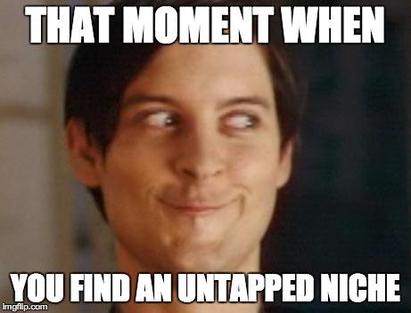 That moment when you find an untapped niche... #seo #meme