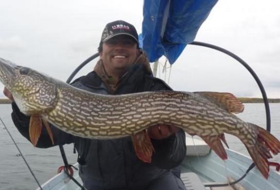 YouFishdotTV's tweet image. Fall Northern pike on display in this video from @BrandonKoperski, aka The Fishing Doctor. youfish.tv/fall-northern-…