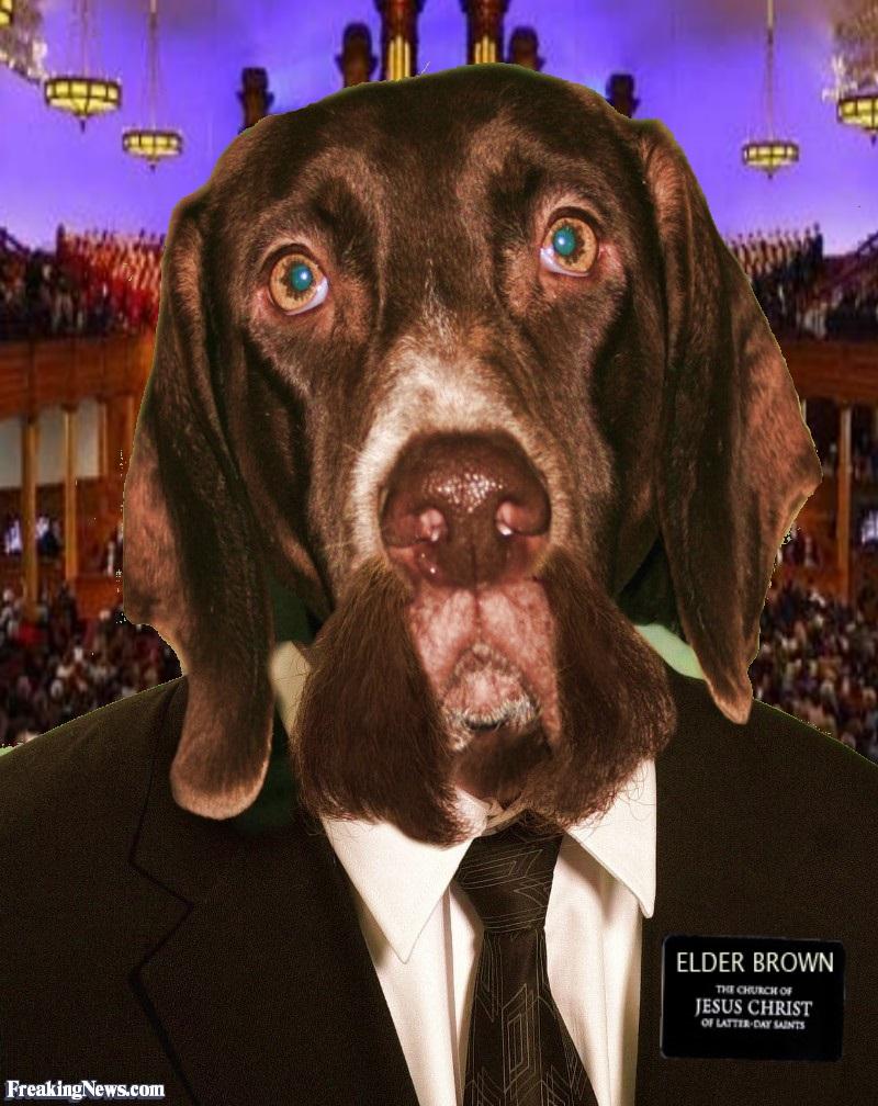 LDSAnimals's tweet photo. Don't let the droopy look deceive you, Elder Brown loves General Conference!
#LDSAnimals http://t.co/ePzsXHXifz