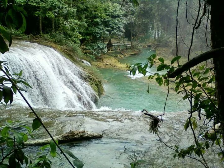 PetenerosGT's tweet photo. Caxlampon, San Luis, #Peten
Foto: @Will_Diaz_
#Peteneros http://t.co/7YvdH9uv9x http://t.co/pkVcvyIEvc