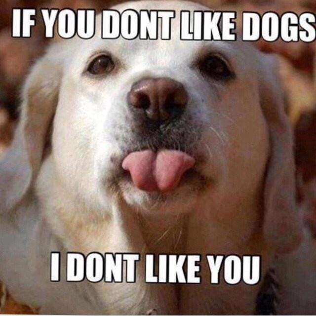 BarkLaneSalon's tweet photo. Sorry 🙊🙈 http://t.co/fIW6nQSa0y