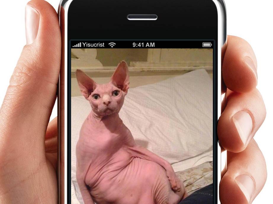 yisucrist's tweet photo. cuando activas sin kerer la cámara frontal del móvil http://t.co/VGyjYpxbws
