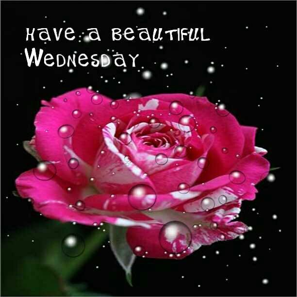 RuthRuthk664's tweet photo. @RhymesARedBird http://t.co/ONBVQfSaIM