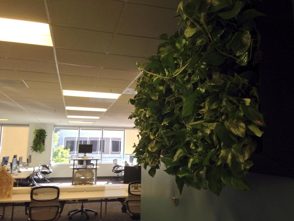 XCareers's tweet photo. Ramping up for our #EffectiveEng meetup tonight in our Sunnyvale office! #berigorous #lovewhereyouwork http://t.co/Q9fA9i987D