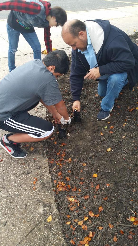 Today was a great day to plant tulip bulbs.  Thanks team....