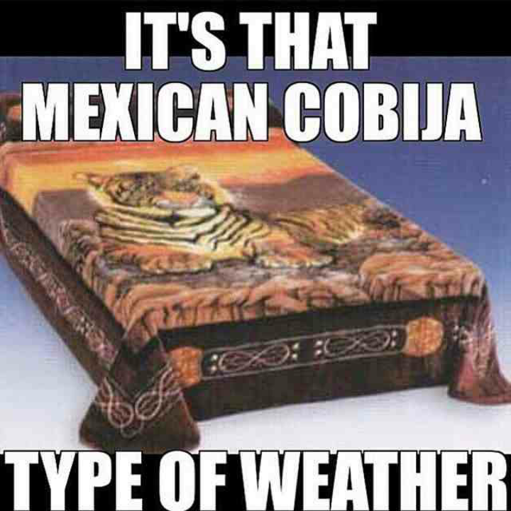 Adrian_Locc's tweet photo. You know... http://t.co/BnBvDmp0ly