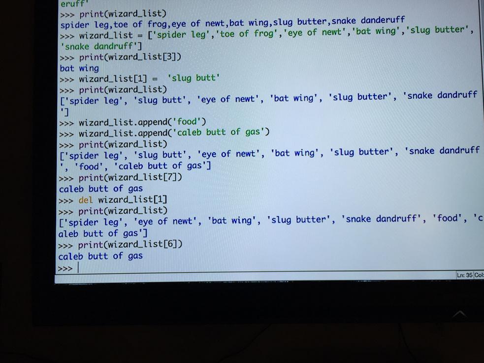 behemphi's tweet image. Beware Python lists and 9 year old humor.  #teachkidscode