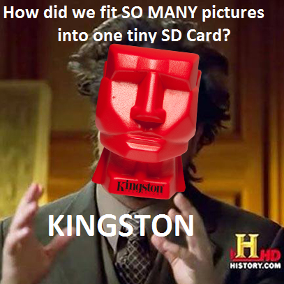 kingstontech's tweet photo. Our SD Card game is much better than our meme game...Full Flash Card line here --> http://t.co/XRPh4mRV9l #WeeklyRex http://t.co/1tPpVtRzDg