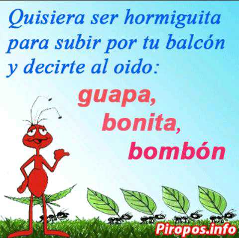 palominos150's tweet photo. @natalycorrea43 si a los piropos http://t.co/0W6CBpRonM