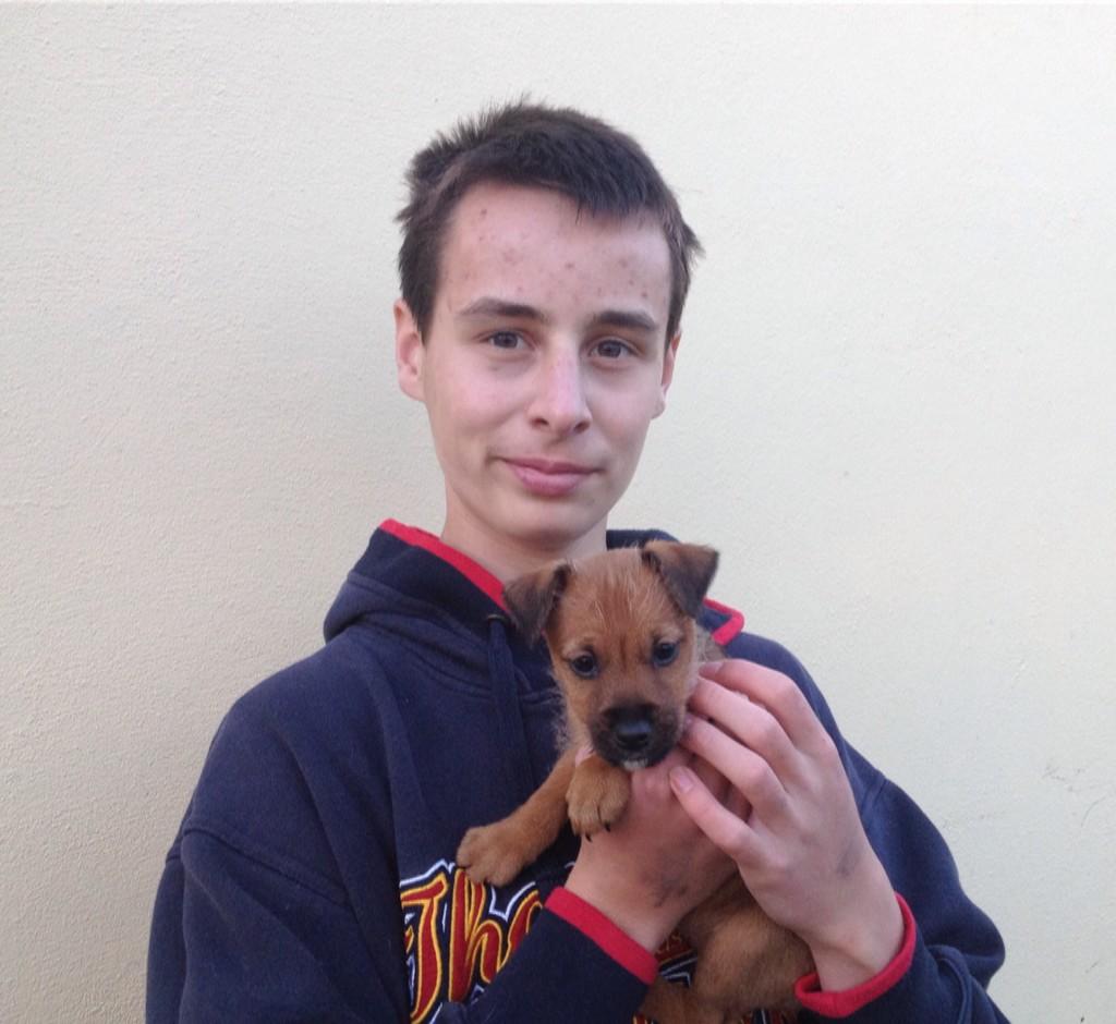 LAW welcome volunteers who will be trained to help in kennels.