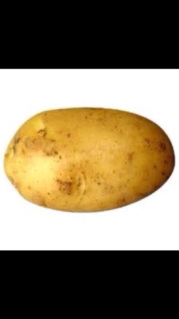 NFL_Hits's tweet photo. Who would win? Rt for potato ~ Fav for Jets http://t.co/Eyo2ljhwtd