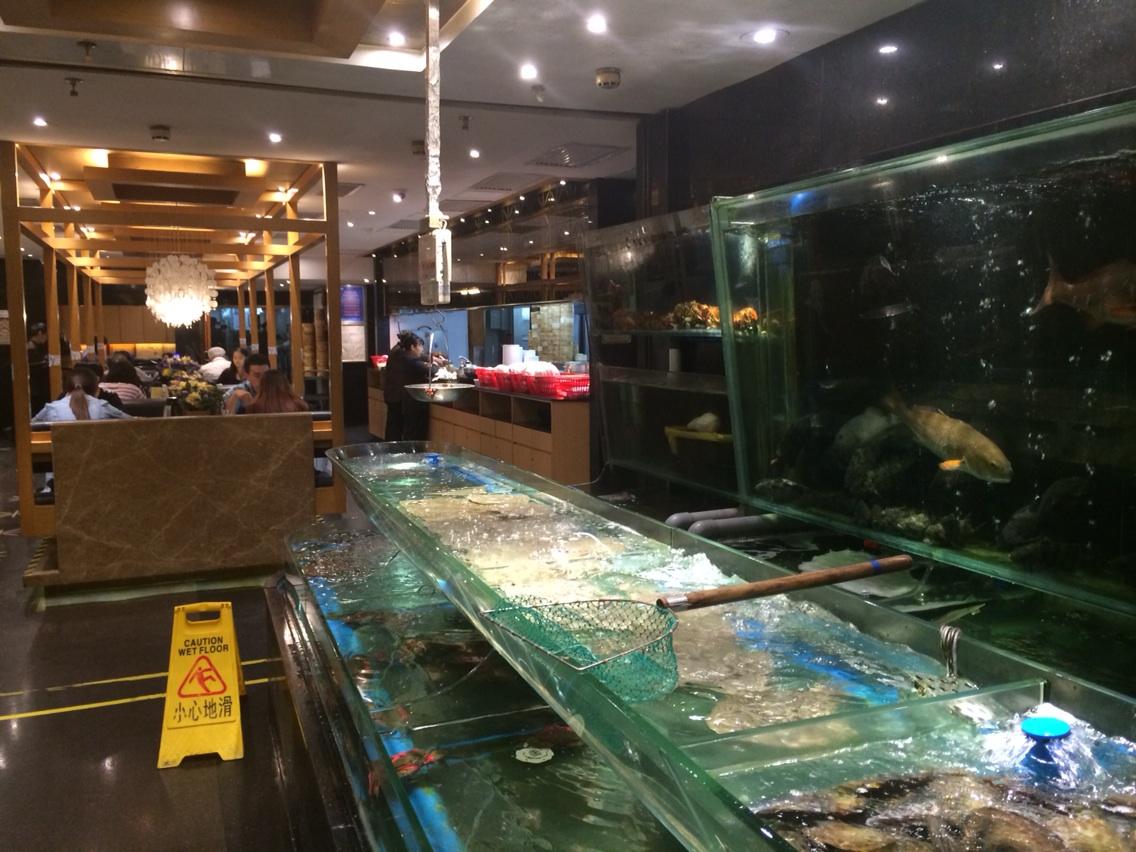 RobertELevy's tweet photo. What "fresh" means in a Chinese restaurant in China http://t.co/acZeUrQgH7