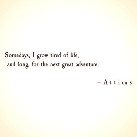 Kalene McCormack (@kalenemc) on Twitter photo 