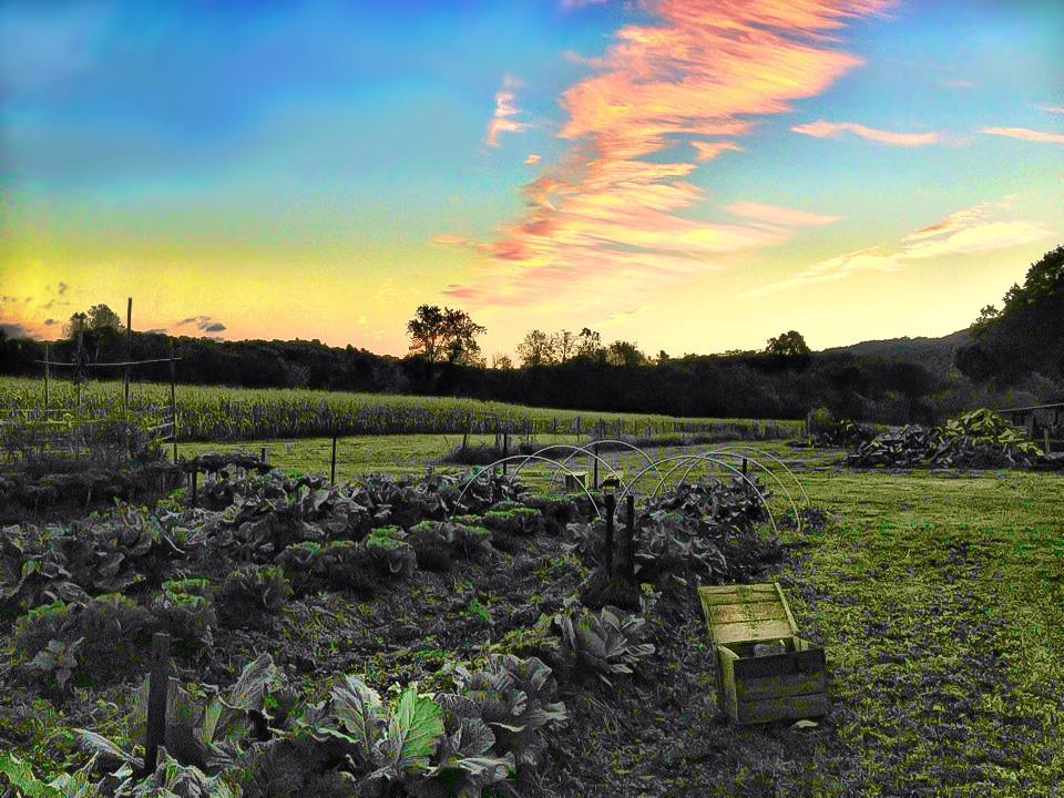 Creating a fusion of farm life and outdoor adventure! Please help spread the word! Thank You!!
smallknot.com/eastforkfarmli…