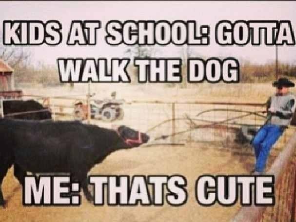 Gapka_07's tweet photo. So funny and I'm sure very relatable for most! #ACCAggies http://t.co/L4M3ewuIsA