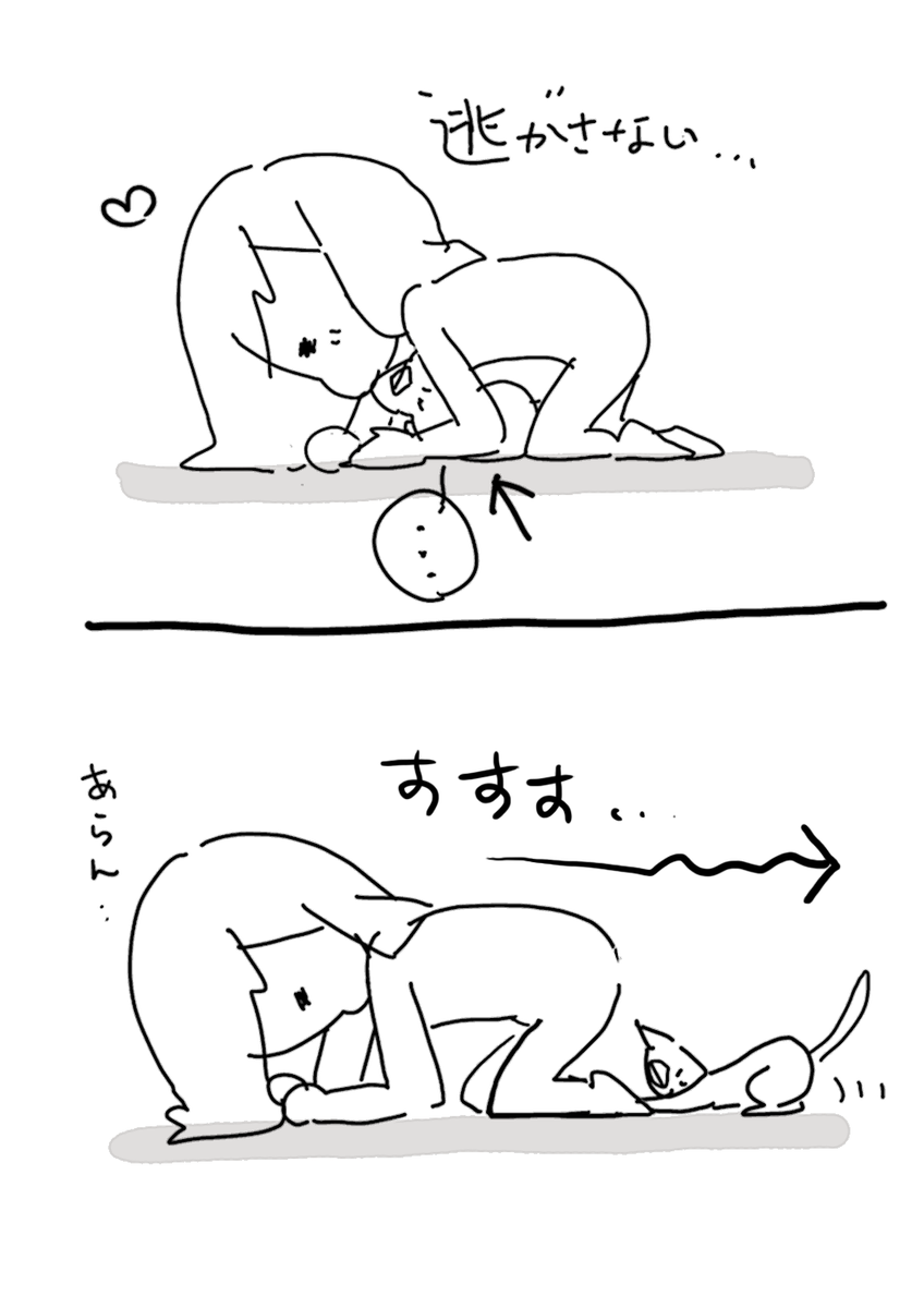 実家ぬこ 2 