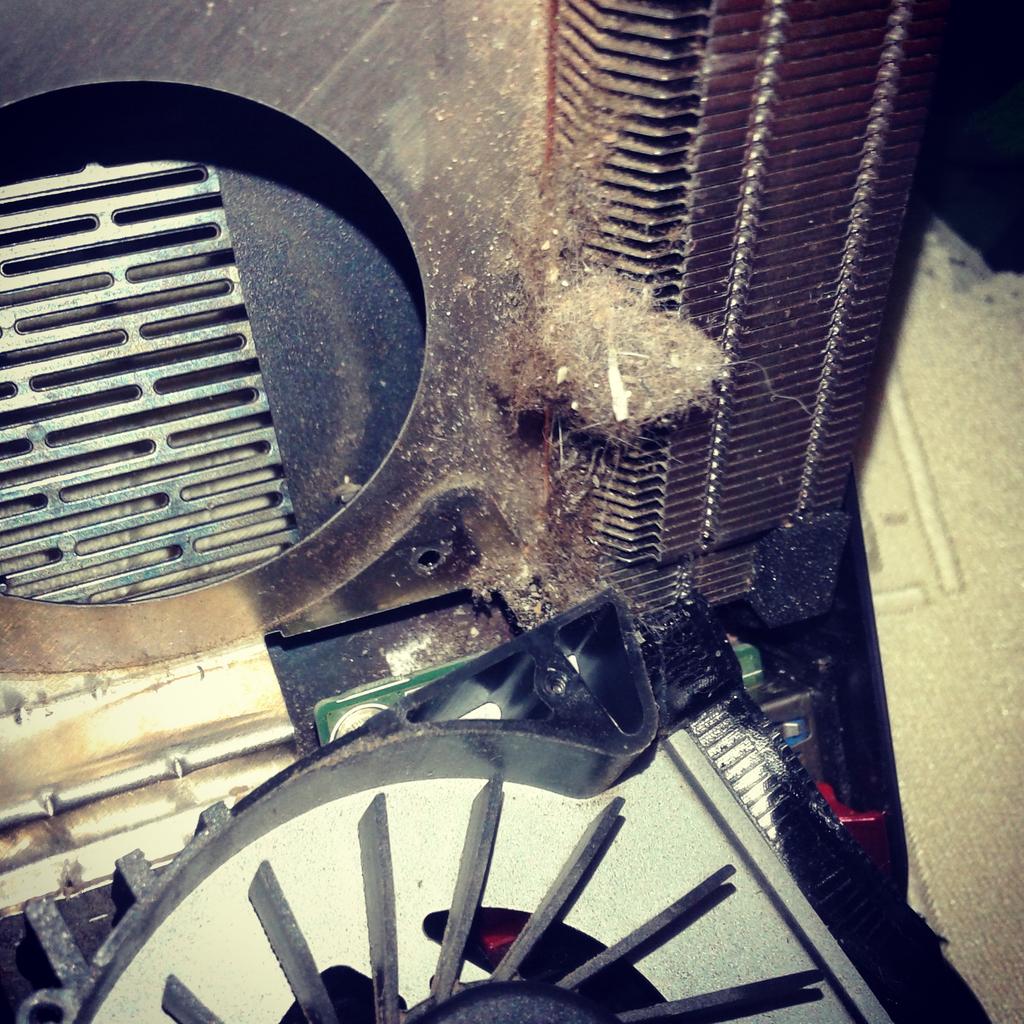 mgcomputersbg tweet picture