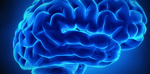Culturizando's tweet photo. Ser curioso es bueno para tu cerebro, mira por qué ► http://t.co/BtBzjBv0fz http://t.co/uUmYlL0epW