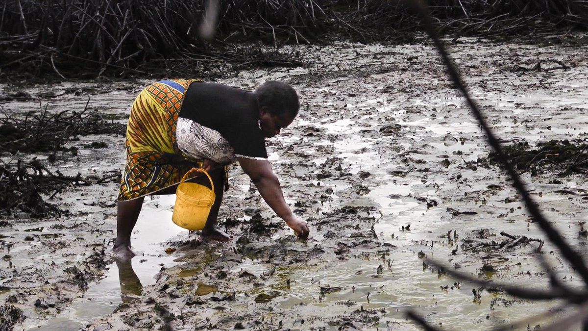 Court documents expose false claims made by #Shell on major oil spills in #Nigeria. owl.li/Ecab4
