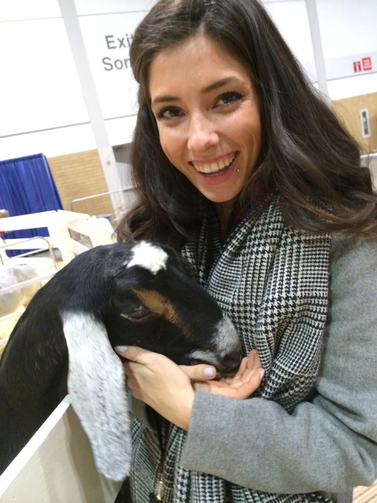 rainstuff's tweet image. You goat girl! Taylor at the Royal.