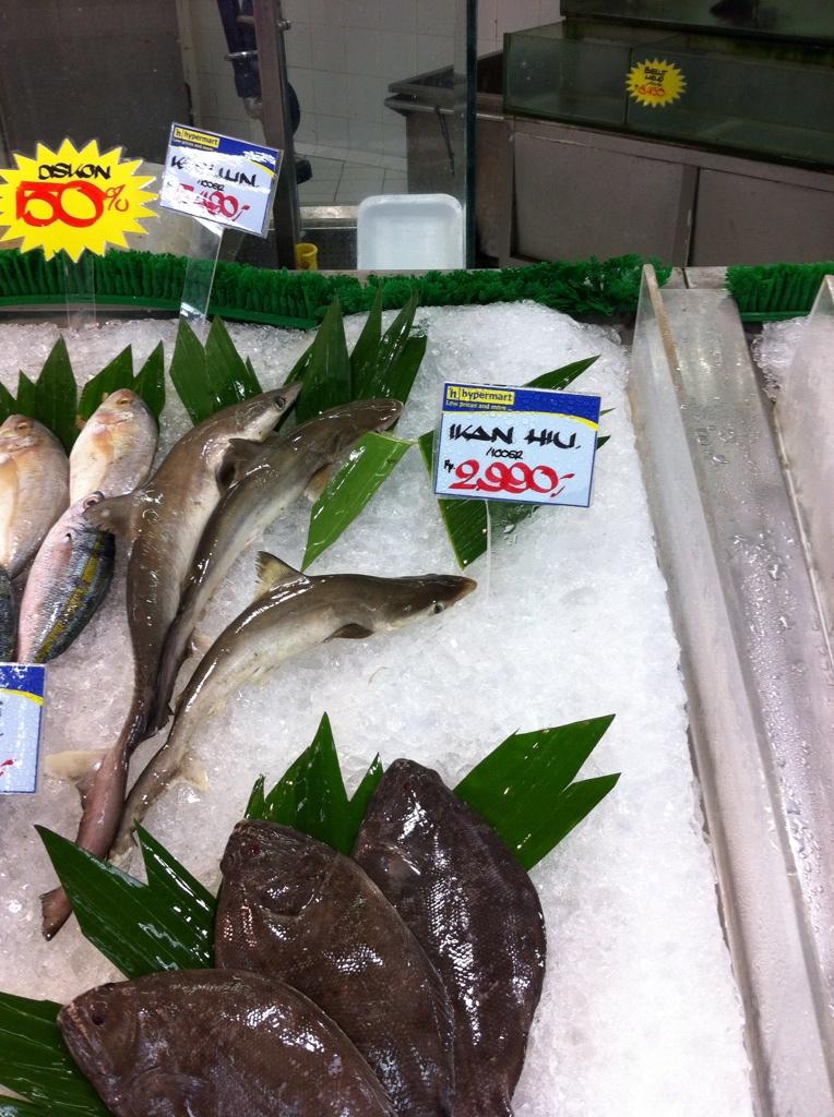 r_djangkaru's tweet photo. "@alradino: belanja d slh 1 supermaket bsr di tangerang, msh jual baby sharks #savesharks http://t.co/6MrtEdfLHH" #wallofsharks #savesharks