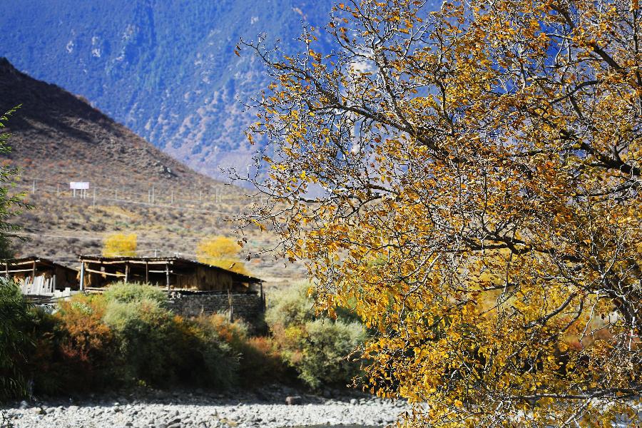 tibetol's tweet photo. Beautiful scenery along Yarlung Zangbo River http://t.co/TMK5V6mAOq http://t.co/e8GFY2zg1u