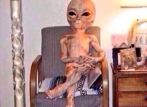 gerardway's tweet photo. Current vibe http://t.co/JEXPUhhpe5